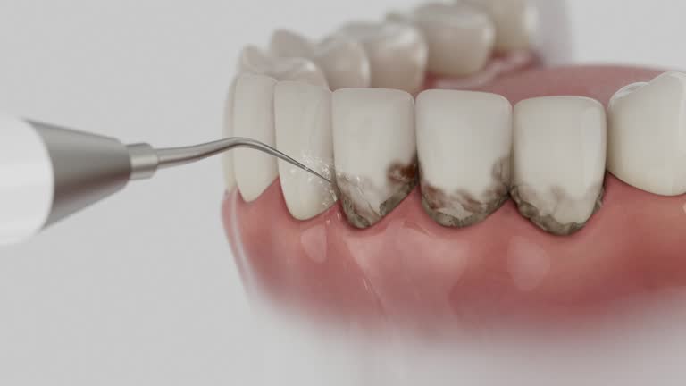 Reliable Dental contractor in Fuquay-Varina, NC by Dentist Open Now